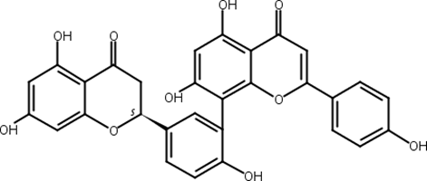 2,3-二氢穗花杉双黄酮,2,3-Dihydroamentoflavone
