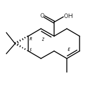 Volvalerenic acid A