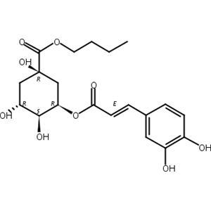 新绿原酸丁酯,Butyl neochlorogenate