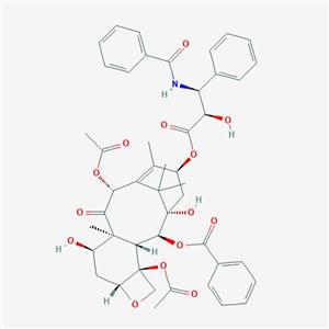 7-表-紫杉醇（紫杉醇杂质III）