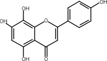 8-羟基芹菜素,Isoscutellarein