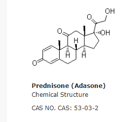 Prednisone (Adasone)