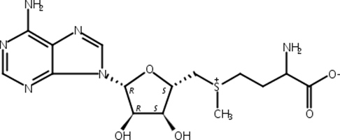 S-腺苷蛋氨酸,Methionine, S-adenosyl-, DL-