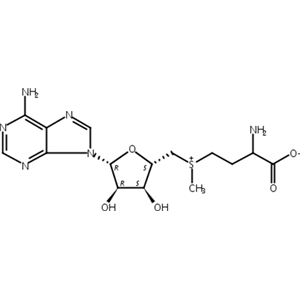 S-腺苷蛋氨酸,Methionine, S-adenosyl-, DL-