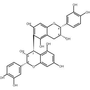 原花青素B5,Procyanidin B5
