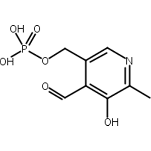 磷酸吡哆醛,Pyridoxal phosphate