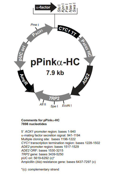 pPinkα-HC 载体,pPinkα-HC