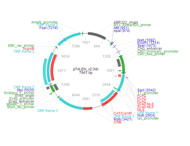 pTALEN_v2 (NI) 载体,pTALEN_v2 (NI)