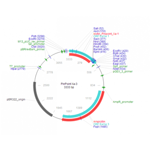 PinPoint Xa-3 载体,PinPoint Xa-3