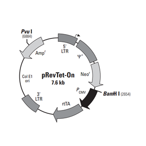 pRevTet-On 载体