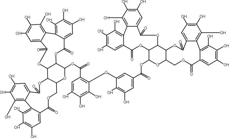 仙鹤草素,Agrimoniin