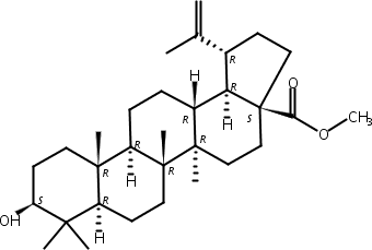 桦木酸甲酯,Betulinic acid methylester