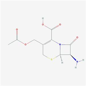 7-氨基头孢烷酸（7-ACA)