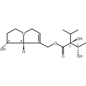 石松胺,Lycopsamine