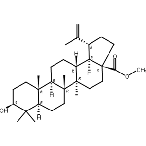 桦木酸甲酯,Betulinic acid methylester