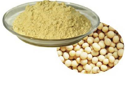 大豆提取物,Soybean Extract