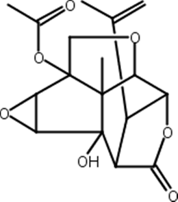 13-O-乙酰基马桑宁,13-O-Acetylcorianin