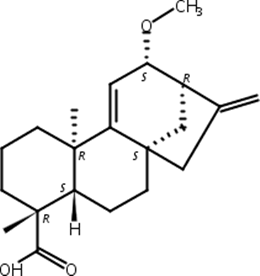 12alpha-甲氧基对映贝壳二烯酸,12alpha-Methoxygrandiflorenic acid