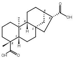 ent-贝壳烯烷-17,19-二酸,ent-Kauran-17,19-dioic acid