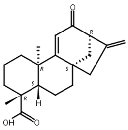 12-氧对映贝壳二烯酸,12-Oxograndiflorenic acid