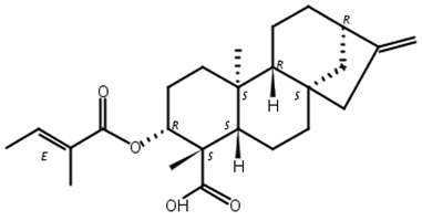 3 Beta-巴豆?；趸?等效-貝殼杉-16-烯酸,ent-3Beta-Tigloyloxykaur-16-en-19-oic acid