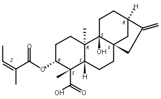 3Alpha-当归酰氧基-9beta-羟基等效贝壳杉,3alpha-Angeloyloxypterokaurene L3