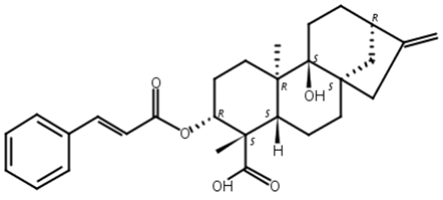 3alpha-肉桂酰氧基-9beta-羟基-对映-贝壳杉-16-烯-19-酸,3alpha-Cinnamoyloxypterokaurene L3