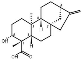 ent-3beta-羥基貝殼杉-16-烯-19-酸,ent-3beta-Hydroxykaur-16-en-19-oic acid