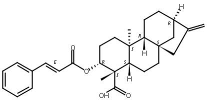 对映-3beta-肉桂酰氧基贝壳杉-16-烯-19,ent-3beta-Cinnamoyloxykaur-16-en-19-oic acid