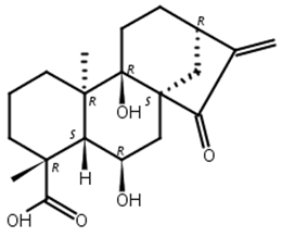 对映-6,9-二羟基-15-氧代-16-贝壳杉烯-19-酸,ent-6,9-Dihydroxy-15-oxo-16-kauren-19-oic acid
