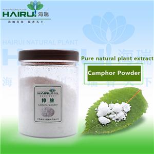 天然樟腦99%,Natural camphor