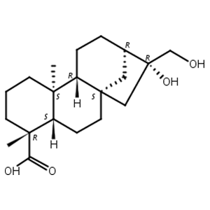 ent-16beta,17-二羟基-19-异贝壳杉烷酸