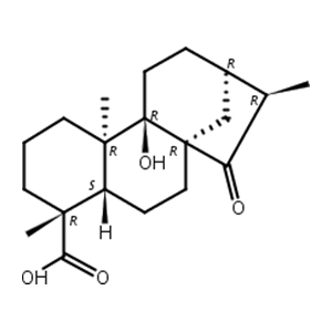 对映-9-羟基-15-氧代-19-异贝壳杉烷酸