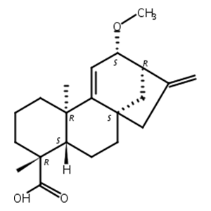 12alpha-甲氧基对映贝壳二烯酸