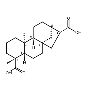 ent-贝壳烯烷-17,19-二酸