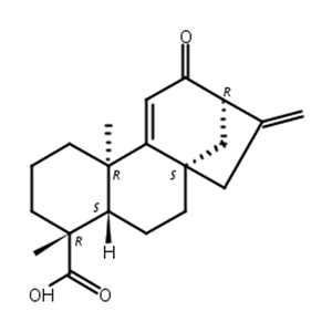 12-氧对映贝壳二烯酸