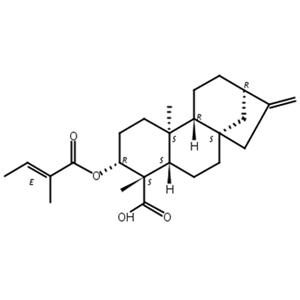 3 Beta-巴豆酰基氧基-等效-贝壳杉-16-烯酸