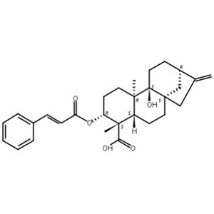 3alpha-肉桂酰氧基-9beta-羟基-对映-贝壳杉-16-烯-19-酸
