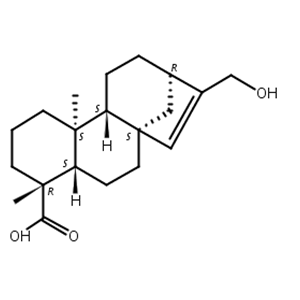ent-17-羟基贝壳杉-15-烯-19-酸,ent-17-Hydroxykaur-15-en-19-oic acid
