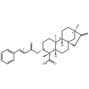 对映-3beta-肉桂酰氧基贝壳杉-16-烯-19,ent-3beta-Cinnamoyloxykaur-16-en-19-oic acid