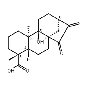 对映-9-羟基-15-氧代-16-贝壳杉烯-19-酸