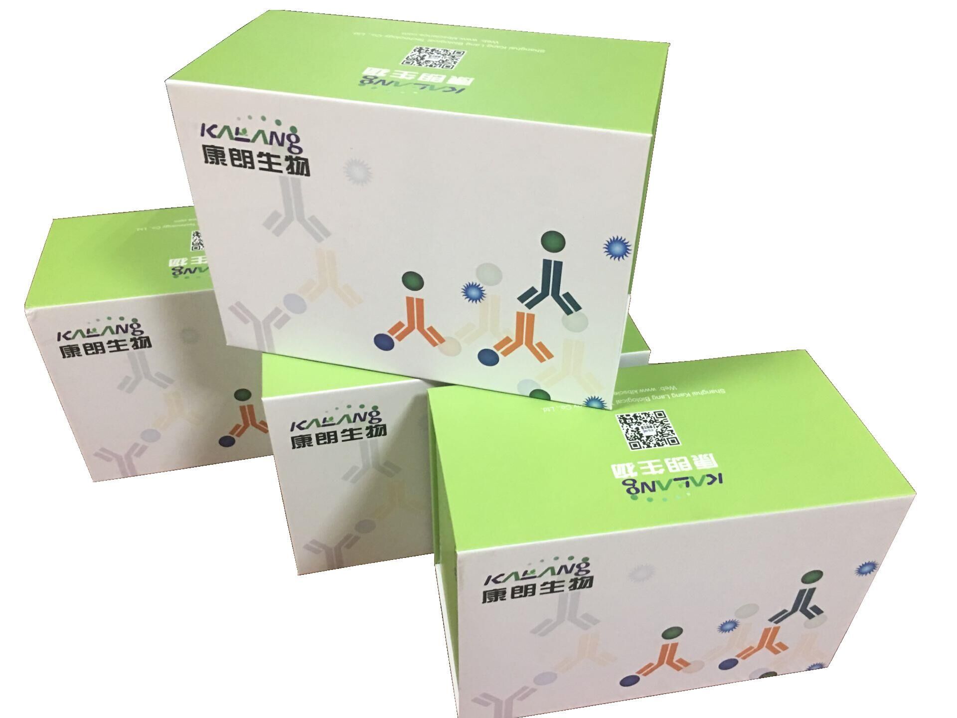 人胰岛素样生长因子结合蛋白1酶联免疫试剂盒,Human IGFBP-1 ELISA KIT