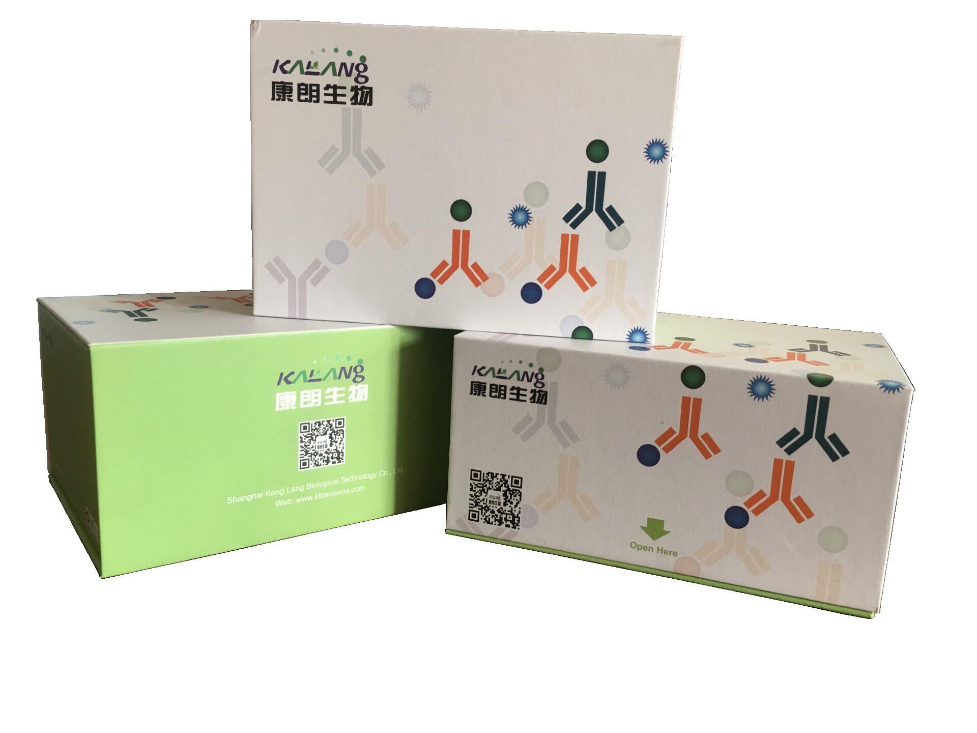 人單核細(xì)胞趨化蛋白3酶聯(lián)免疫試劑盒,Human  MCP-3 ELISA KIT