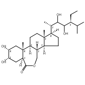 28-高油菜素内酯,28-Homobrassinolide
