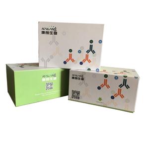 人白细胞介素11酶联免疫试剂盒