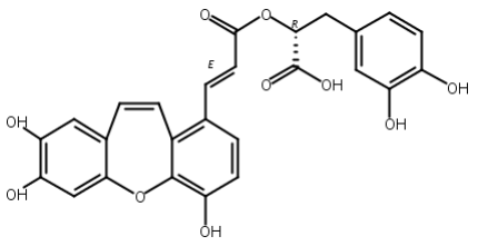 异丹酚酸C,Isosalvianolic acid C