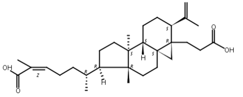 黑五味子酸,Nigranoic acid