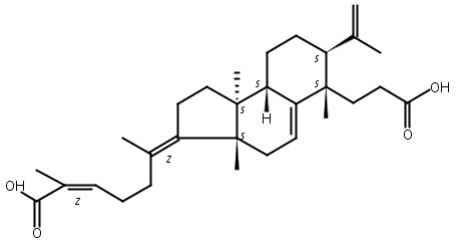 南五味子胭脂虫酸A,Kadsuracoccinic acid A