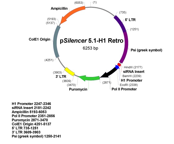 pSilencer 51-H1 Retro 載體,pSilencer 51-H1 Retro