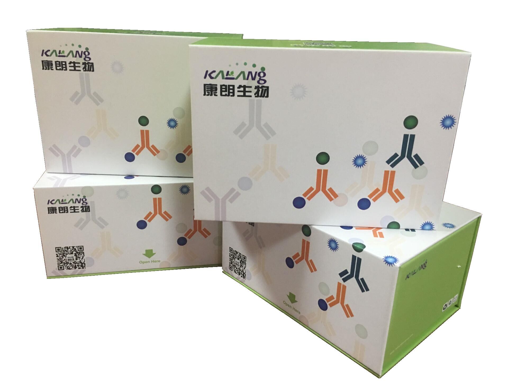 人趋化因子CCL26酶联免疫试剂盒,Human CCL26/Eotaxin-3 ELISA KIT